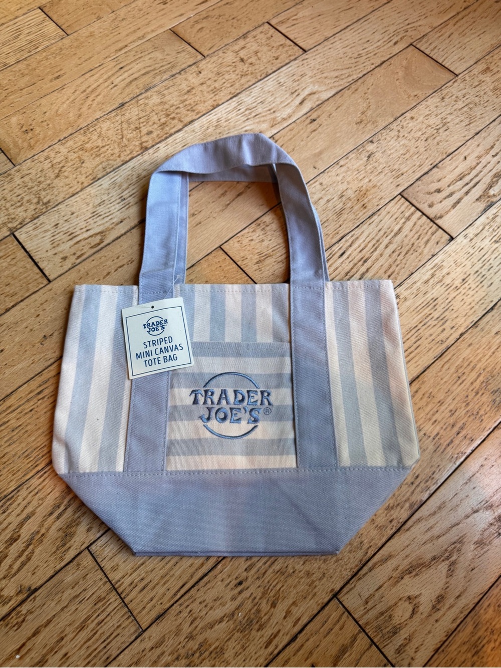 Trader Joe's Mini Striped Canvas Tote Bag in Light Blue